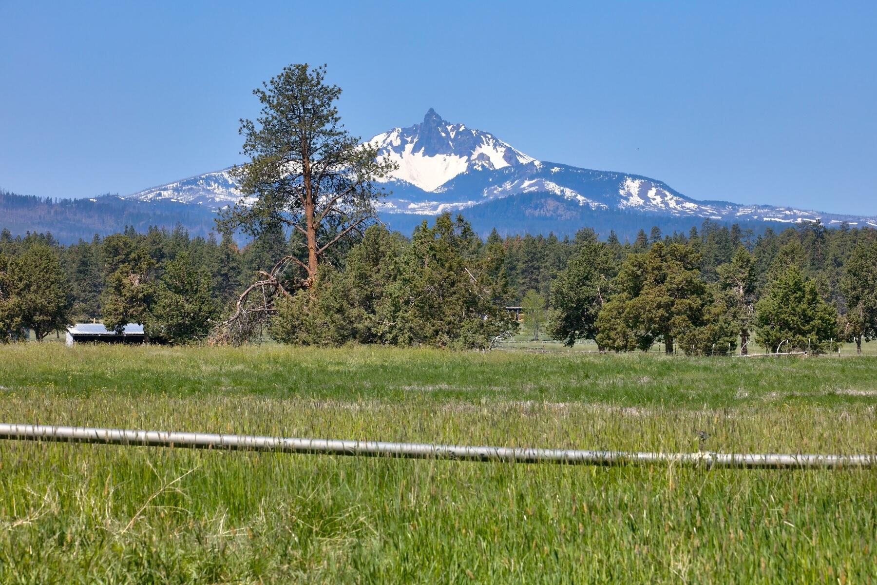 Pine Meadow Vill - Residential