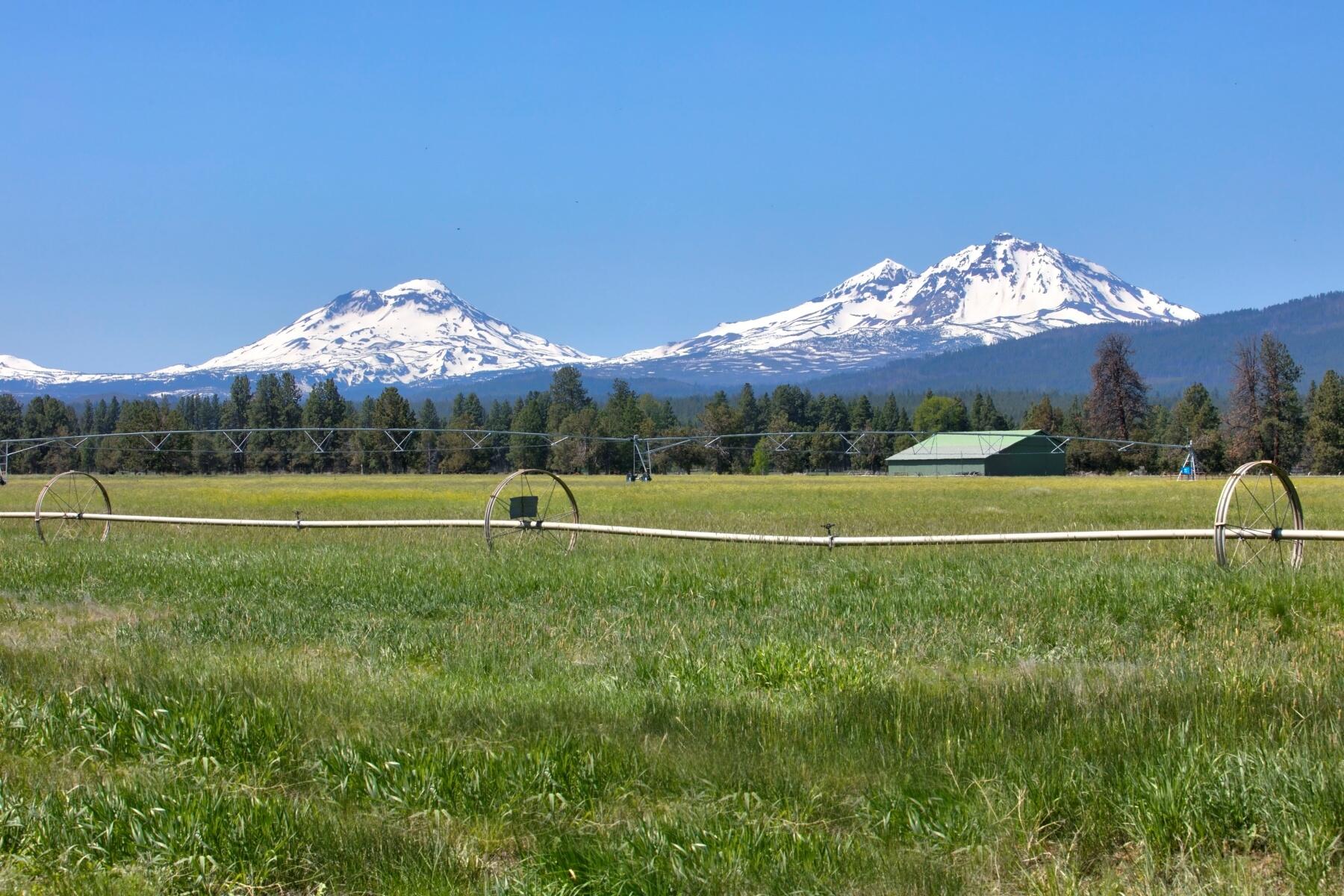 Pine Meadow Vill - Residential