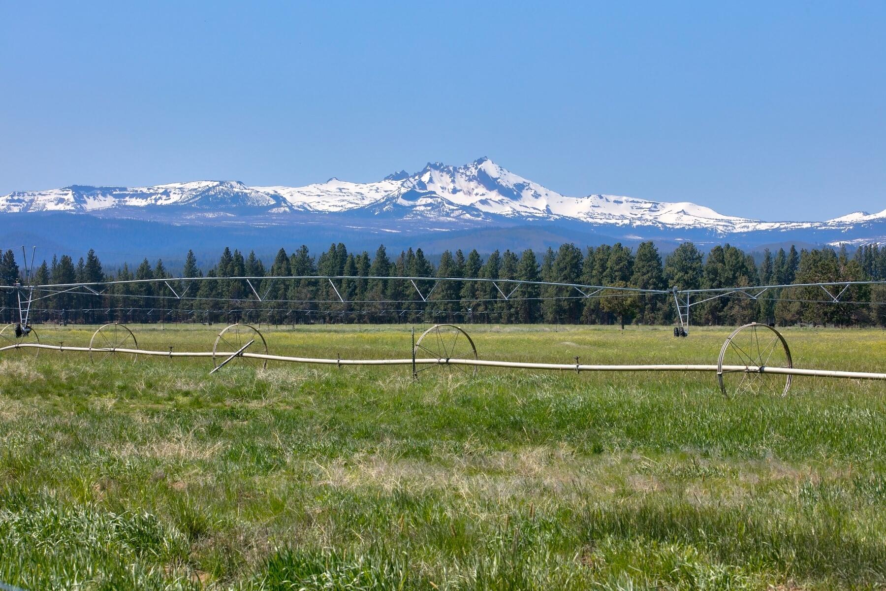 Pine Meadow Vill - Residential