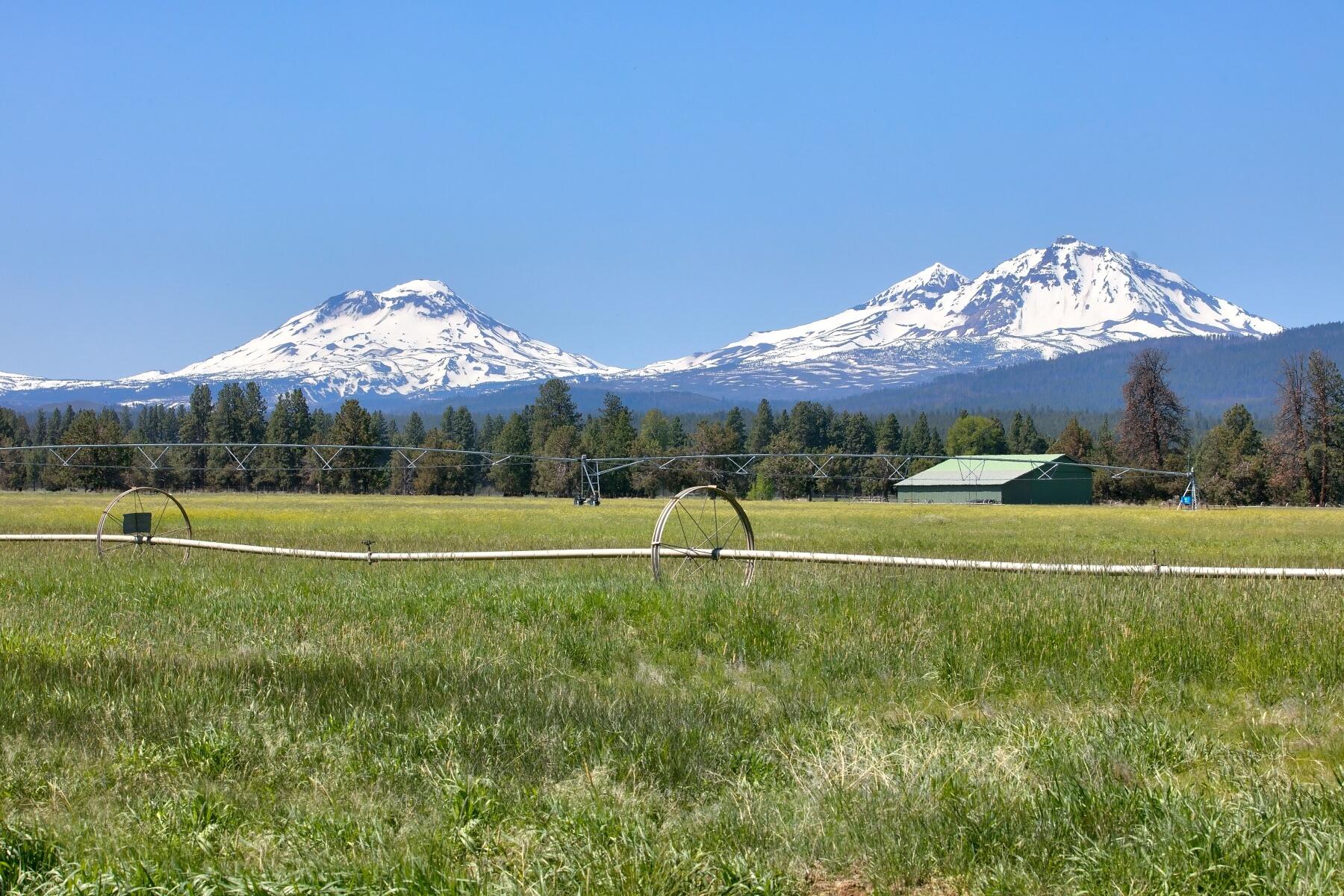 Pine Meadow Vill - Residential