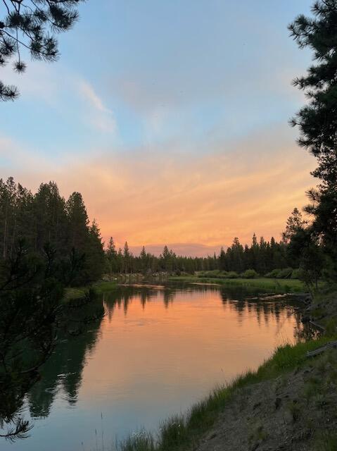 River Forest Acres - Residential