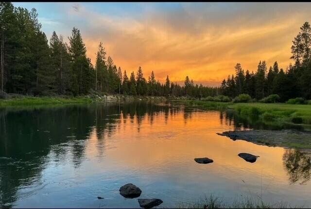 River Forest Acres - Residential