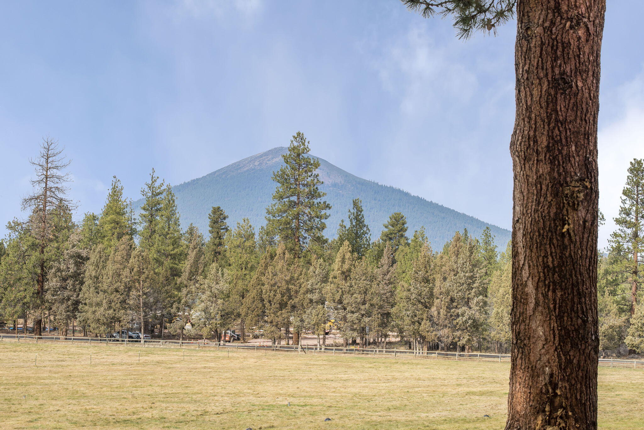 Pine Meadow Vill - Residential