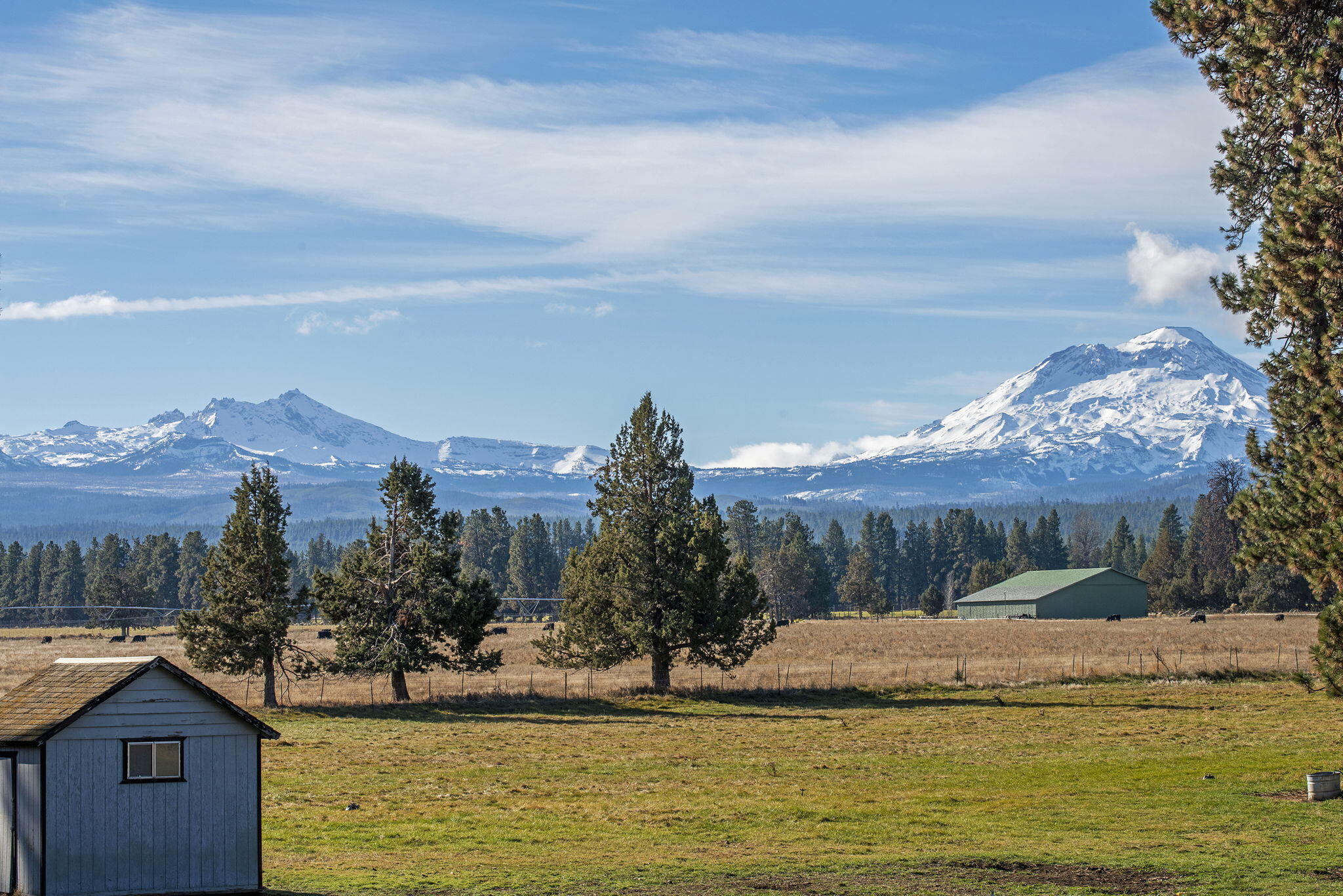 Pine Meadow Vill - Residential