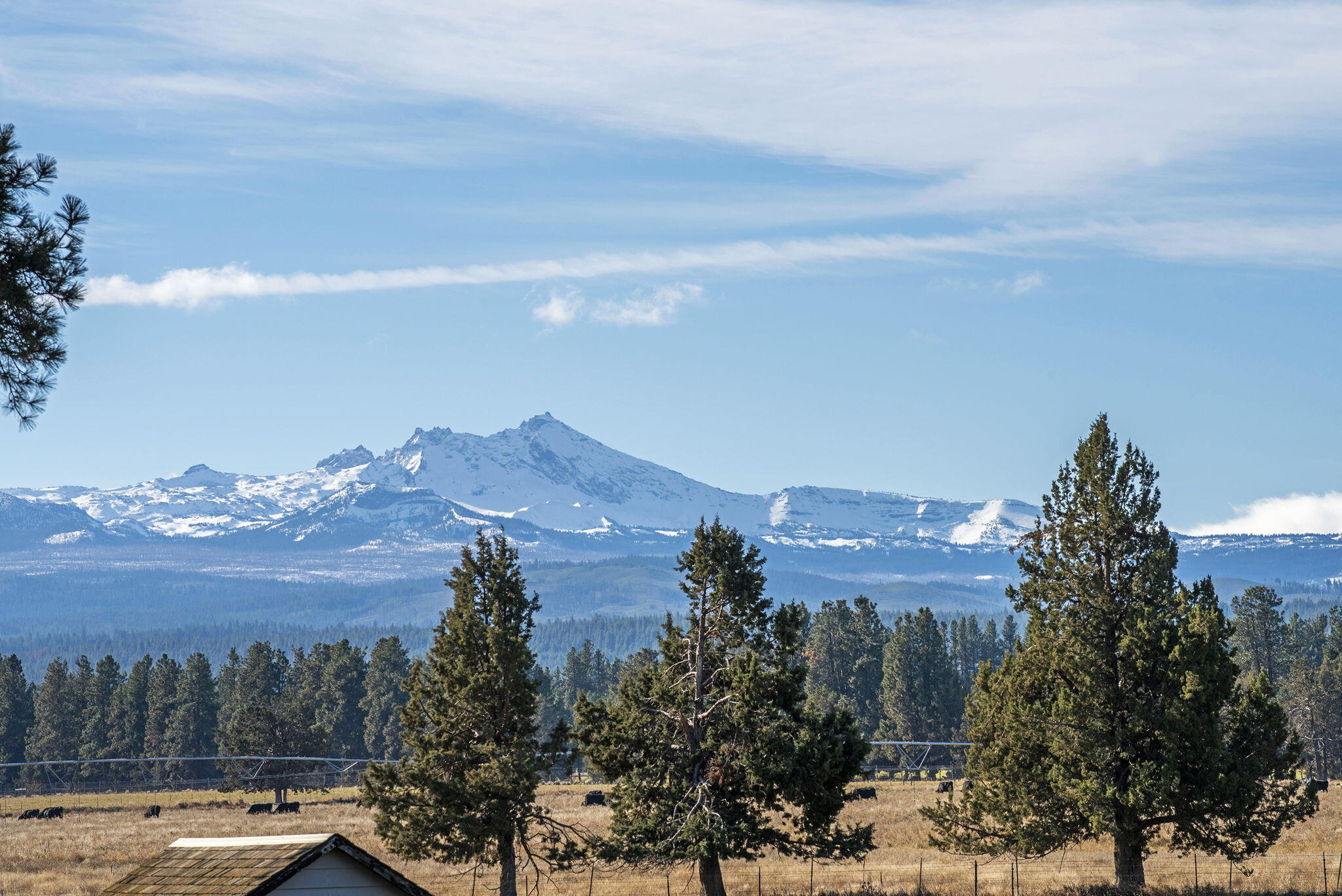 Pine Meadow Vill - Residential