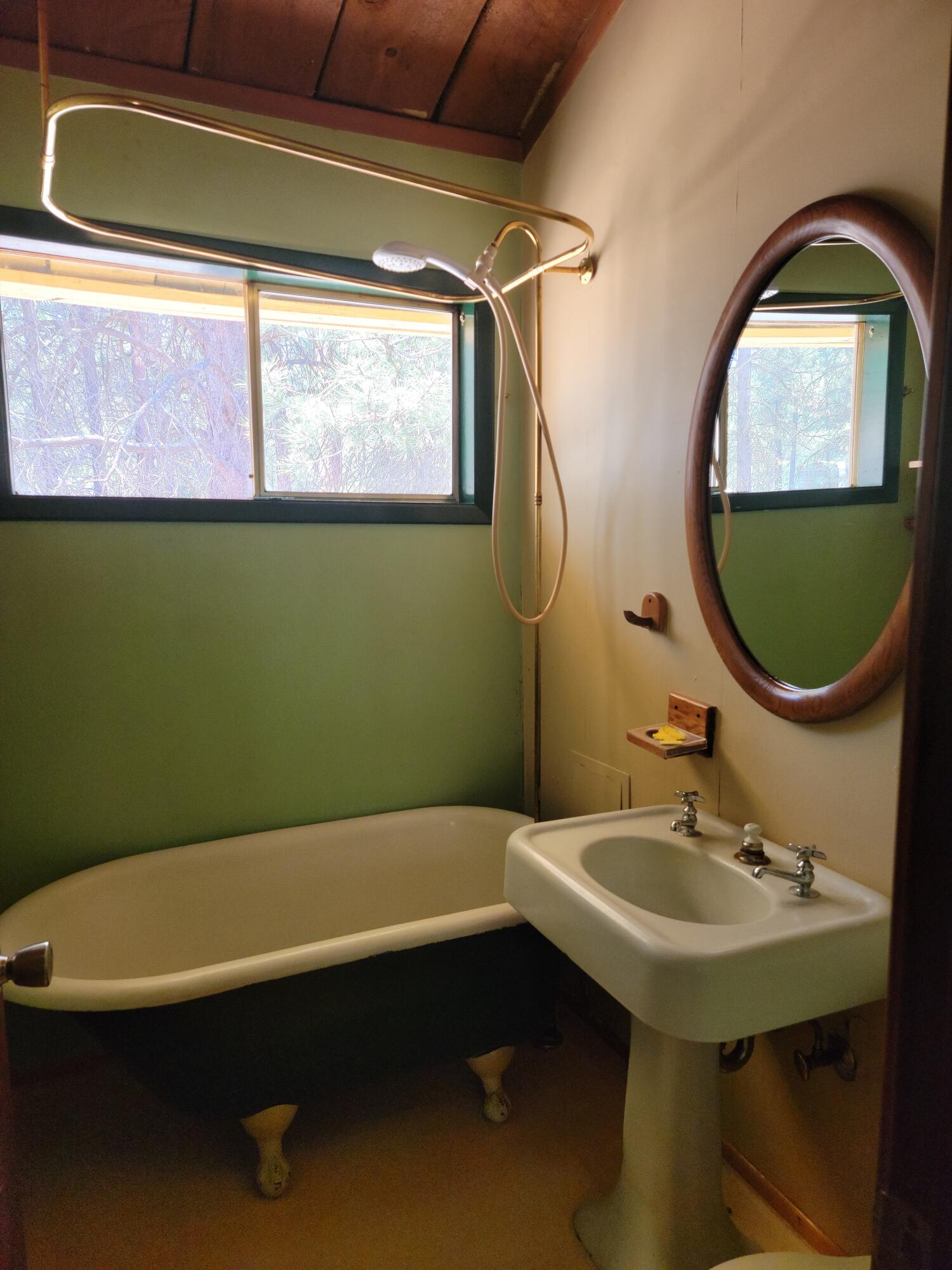 Ponderosa Pines - Residential