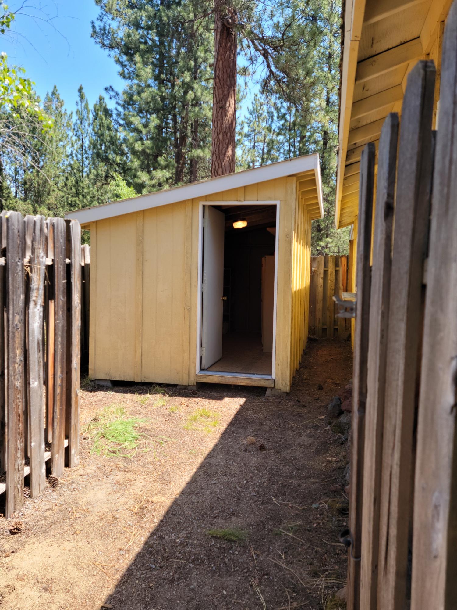 Ponderosa Pines - Residential