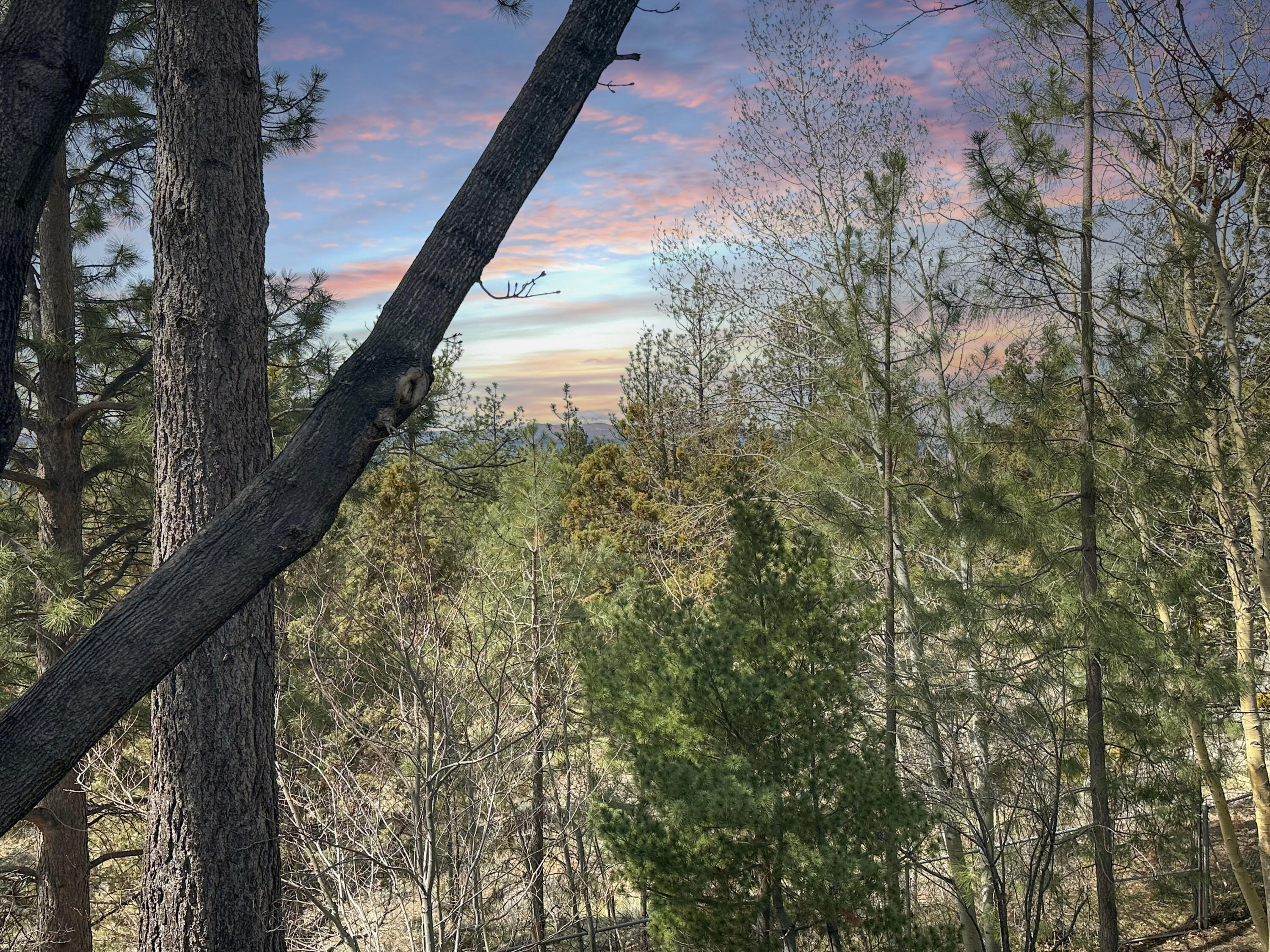 West Hills - Residential