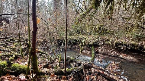 Tiny photo for 431 Red Blanket Road, Prospect, OR 97536 (MLS # 220212409)