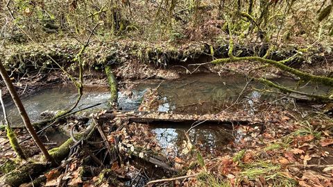 Tiny photo for 431 Red Blanket Road, Prospect, OR 97536 (MLS # 220212409)