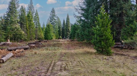 Tiny photo for 431 Red Blanket Road, Prospect, OR 97536 (MLS # 220212409)