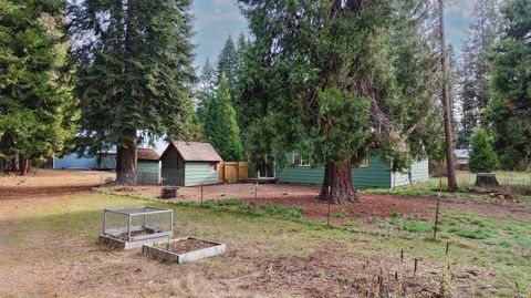Tiny photo for 431 Red Blanket Road, Prospect, OR 97536 (MLS # 220212409)