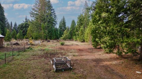 Tiny photo for 431 Red Blanket Road, Prospect, OR 97536 (MLS # 220212409)