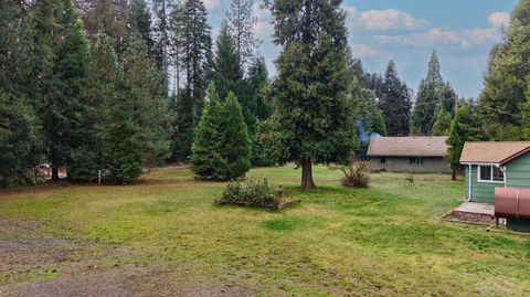 Tiny photo for 431 Red Blanket Road, Prospect, OR 97536 (MLS # 220212409)