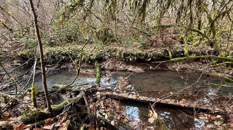 Tiny photo for 431 Red Blanket Road, Prospect, OR 97536 (MLS # 220212409)