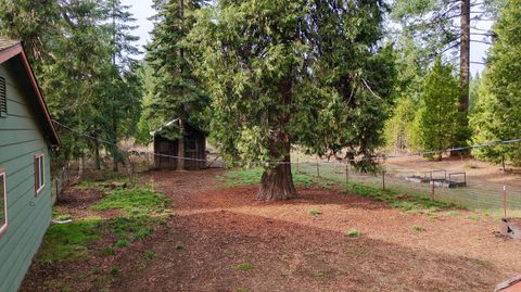 Tiny photo for 431 Red Blanket Road, Prospect, OR 97536 (MLS # 220212409)