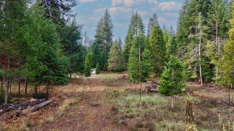 Tiny photo for 431 Red Blanket Road, Prospect, OR 97536 (MLS # 220212409)