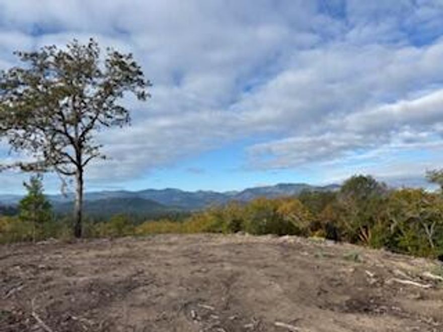 Country Living at Its Best - Build Your Dream Home Here If you've been dreaming of wide-open spaces, fresh country air, and a place to truly call your own, these beautiful lots are ready and waiting for you. Property Highlights: Wells Included: Wells will be drilled and capped by the seller on each lot. Septic Included: A 1,000-gallon standard septic system will be installed within 90 days after closing or the buyer will receive a $10,000 credit. Power: Electricity is available right at the property line. Building Requirements: CCRs require a minimum 1,800 sq. ft. home — but no HOA and no monthly fees. Buyer to Complete: Installation of the well pump, pressure tank, wiring, and plumbing from the well to the home. Additional Information: All information is deemed reliable but not guaranteed and is subject to change. Buyers are encouraged to conduct their own due diligence. These spacious country lots offer the perfect blend of peace, privacy, and potential.