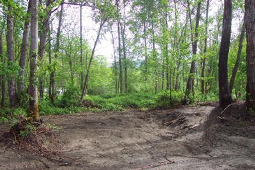 One can only dream of this kind of homesite. Over 800 feet of Applegate waterfront. Seller will have property ready for your castlewith well in, spetic in, engineering done. New road etc. etc. Just bring in your plans. Dreams-land only-you gotta see this call L.A. for showings.