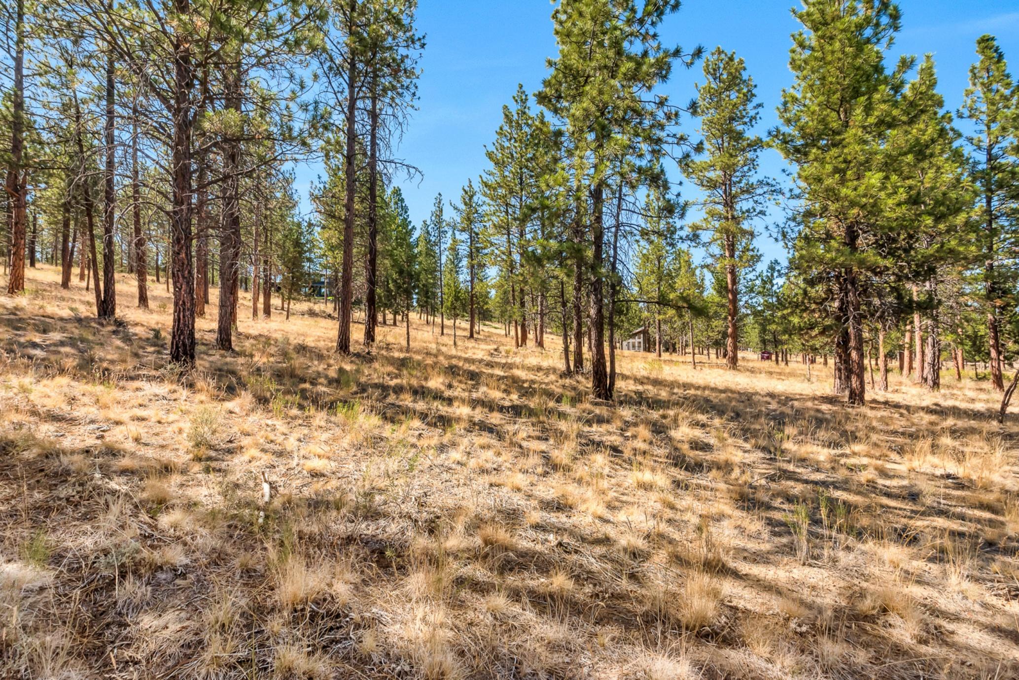 The Farm - Residential