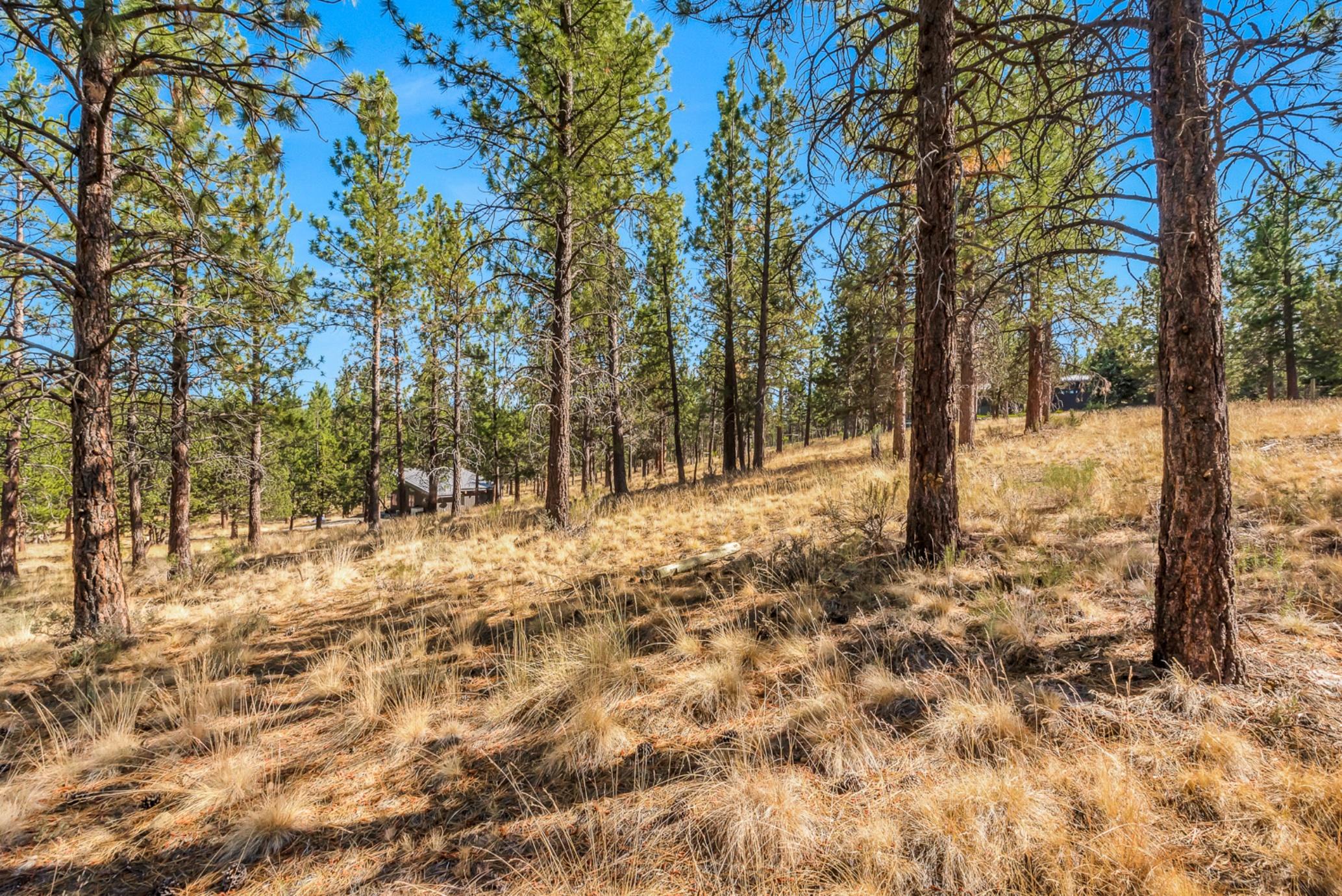 The Farm - Residential
