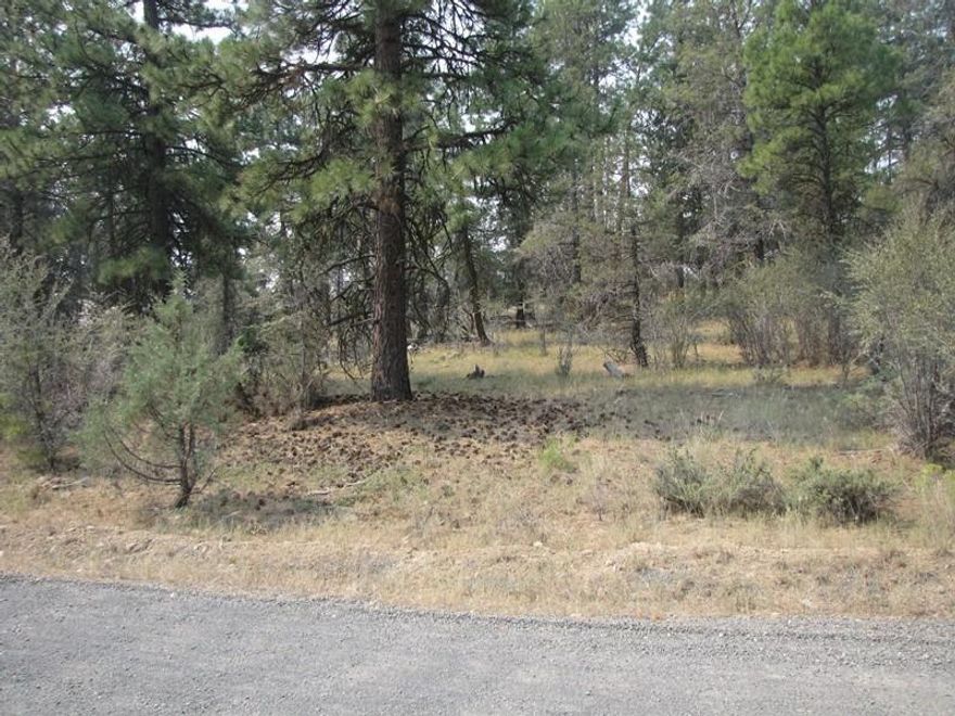5.27 acre parcel with home site on a ridge providing good views. Property has lots of mature pine and juniper trees. The power for the property is at the roads edge. You just need to pick the spot where you would like to build your dream home.