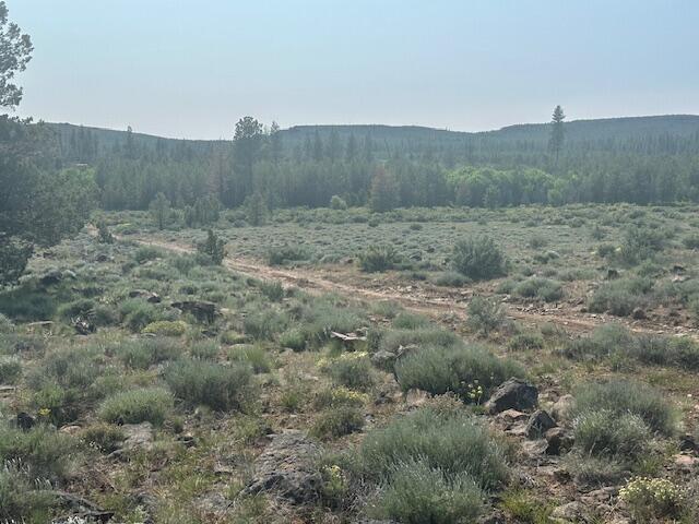 Nagel Ridge Way