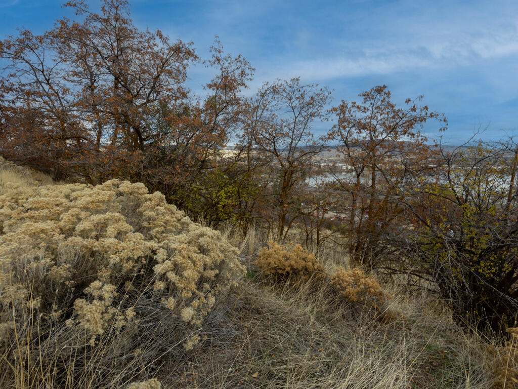 Klamath Falls -Lakeside Addition - Land