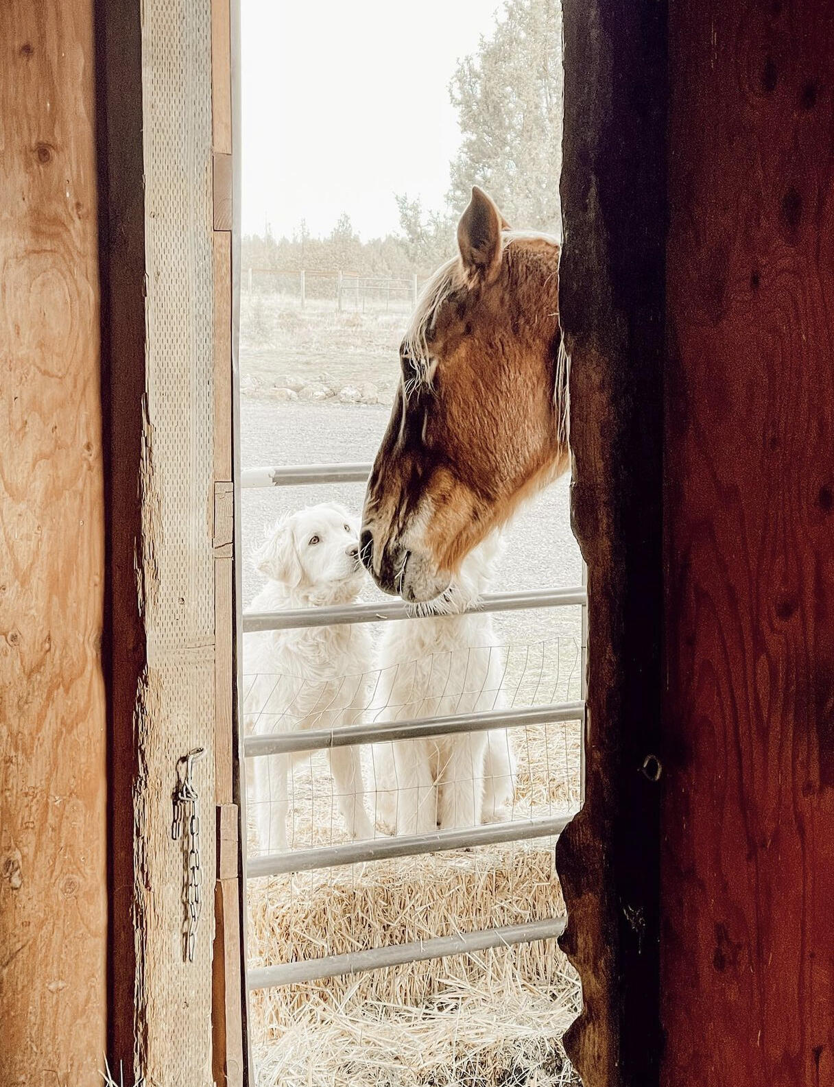 Ochoco Land + Livest - Residential