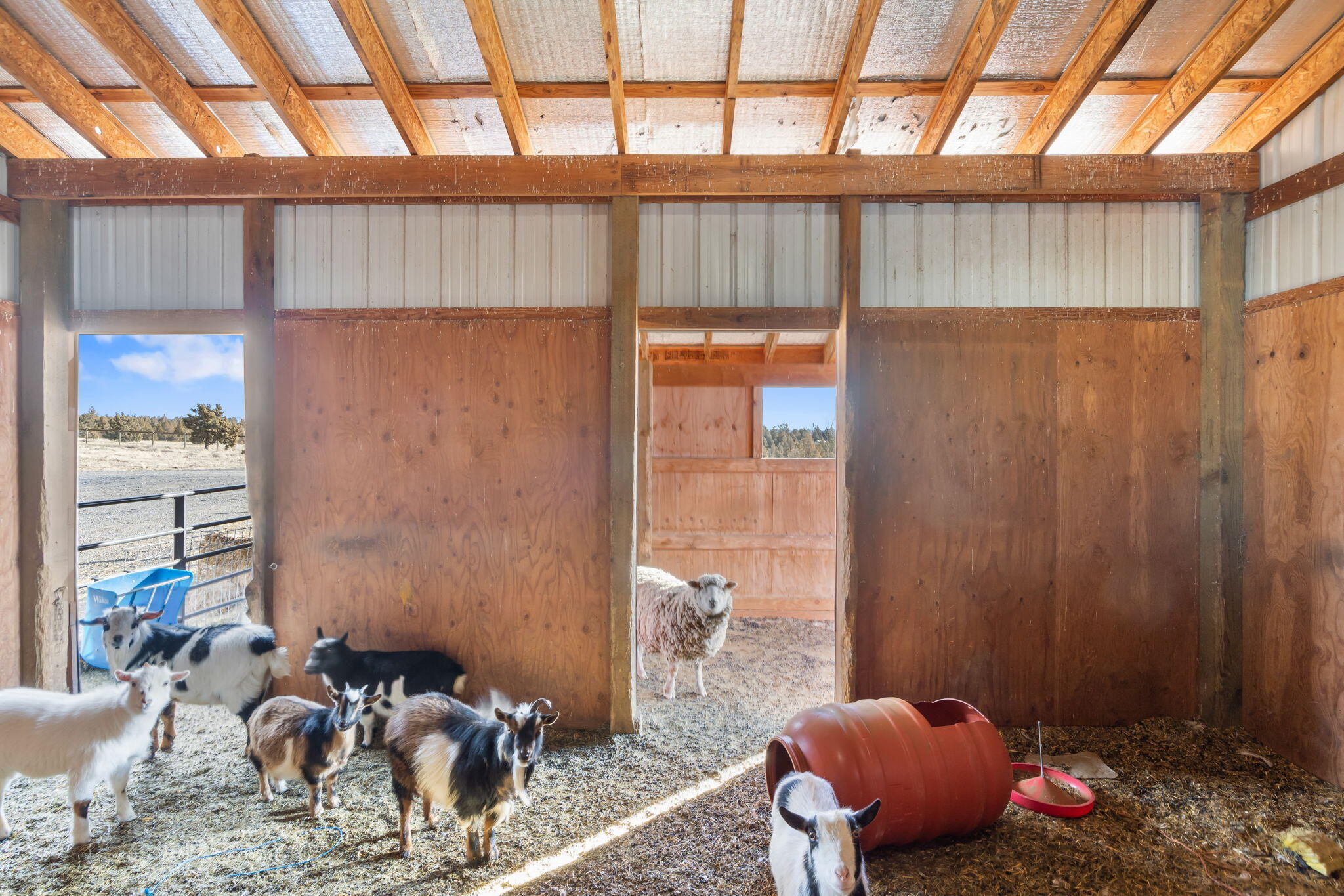 Ochoco Land + Livest - Residential