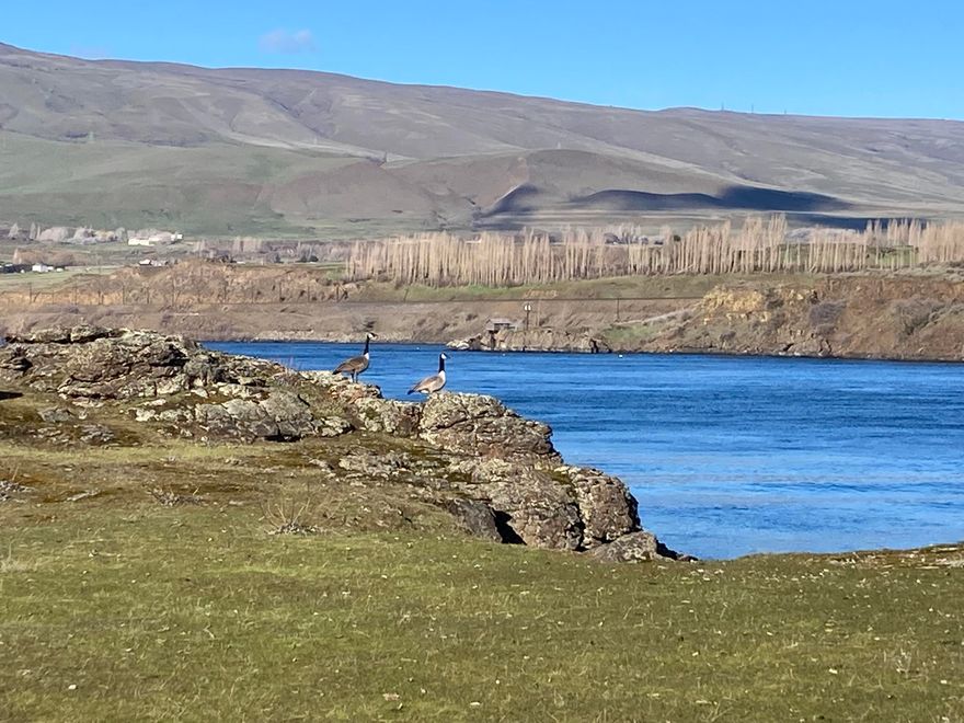 Picturesque setting along the Columbia River in The Dalles, Oregon.  7.83 acres zoned Industrial, with easy access to I84.  The Dalles features 300 plus days of sunshine, low power rates and is ready for your business!