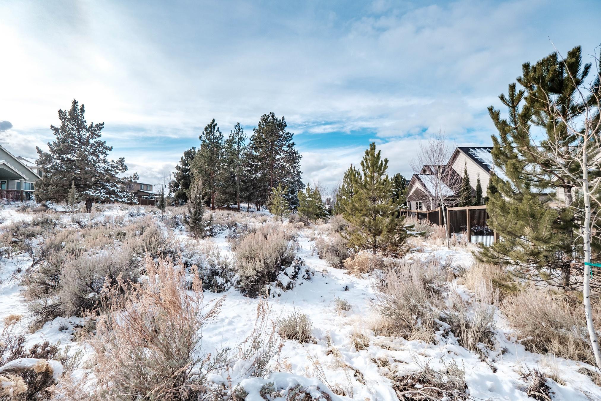 The Bridges - Residential