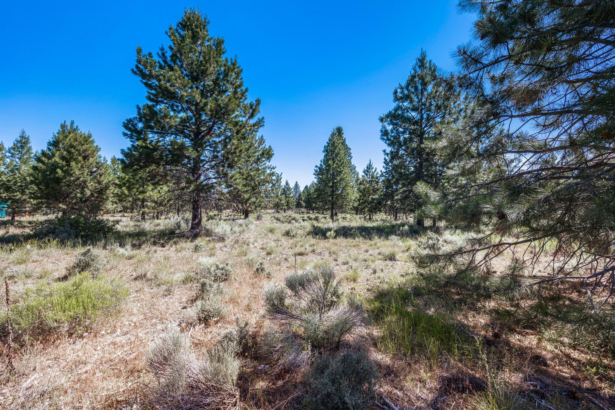 River Bend Estate - Land