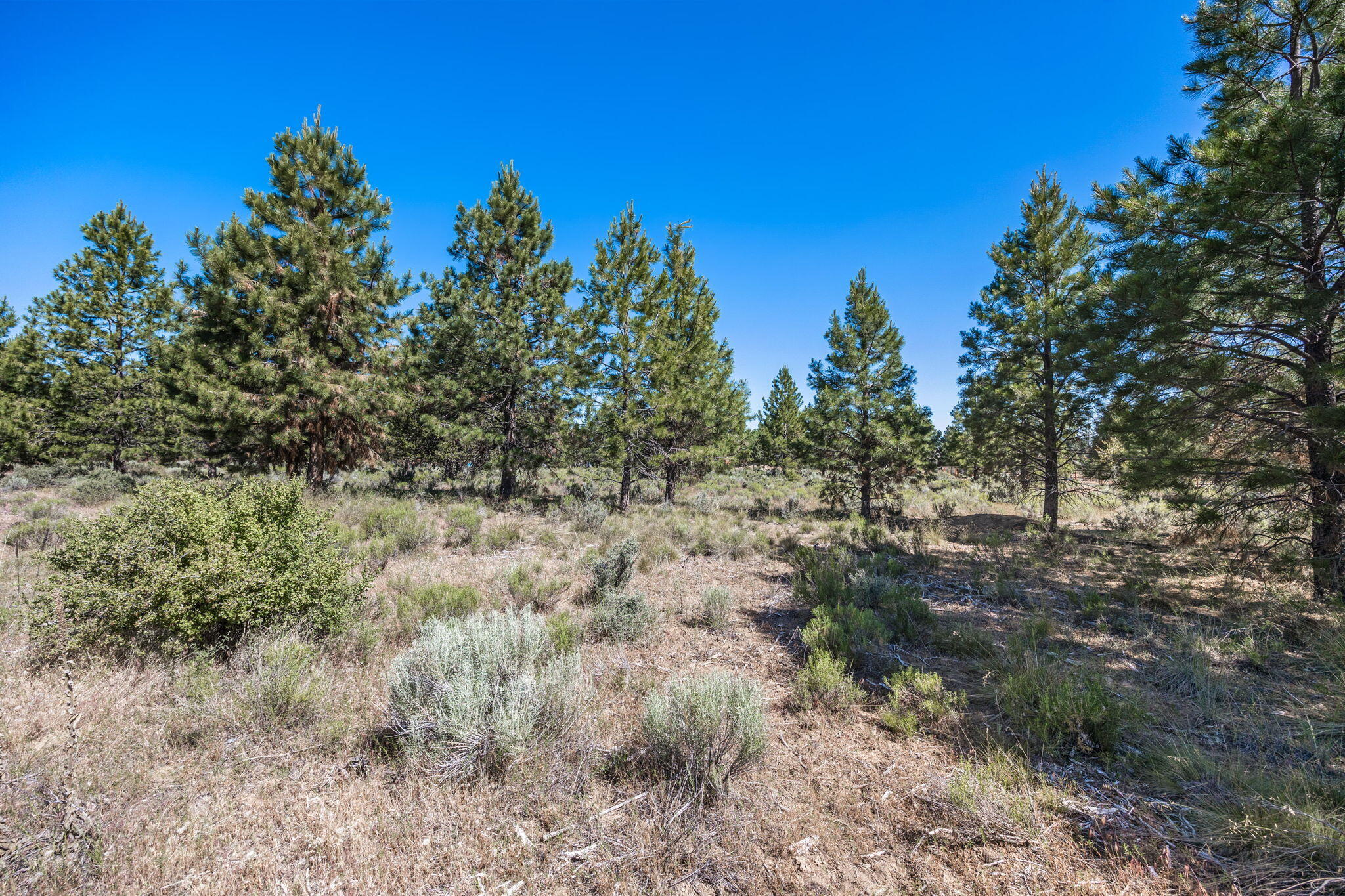 River Bend Estate - Land