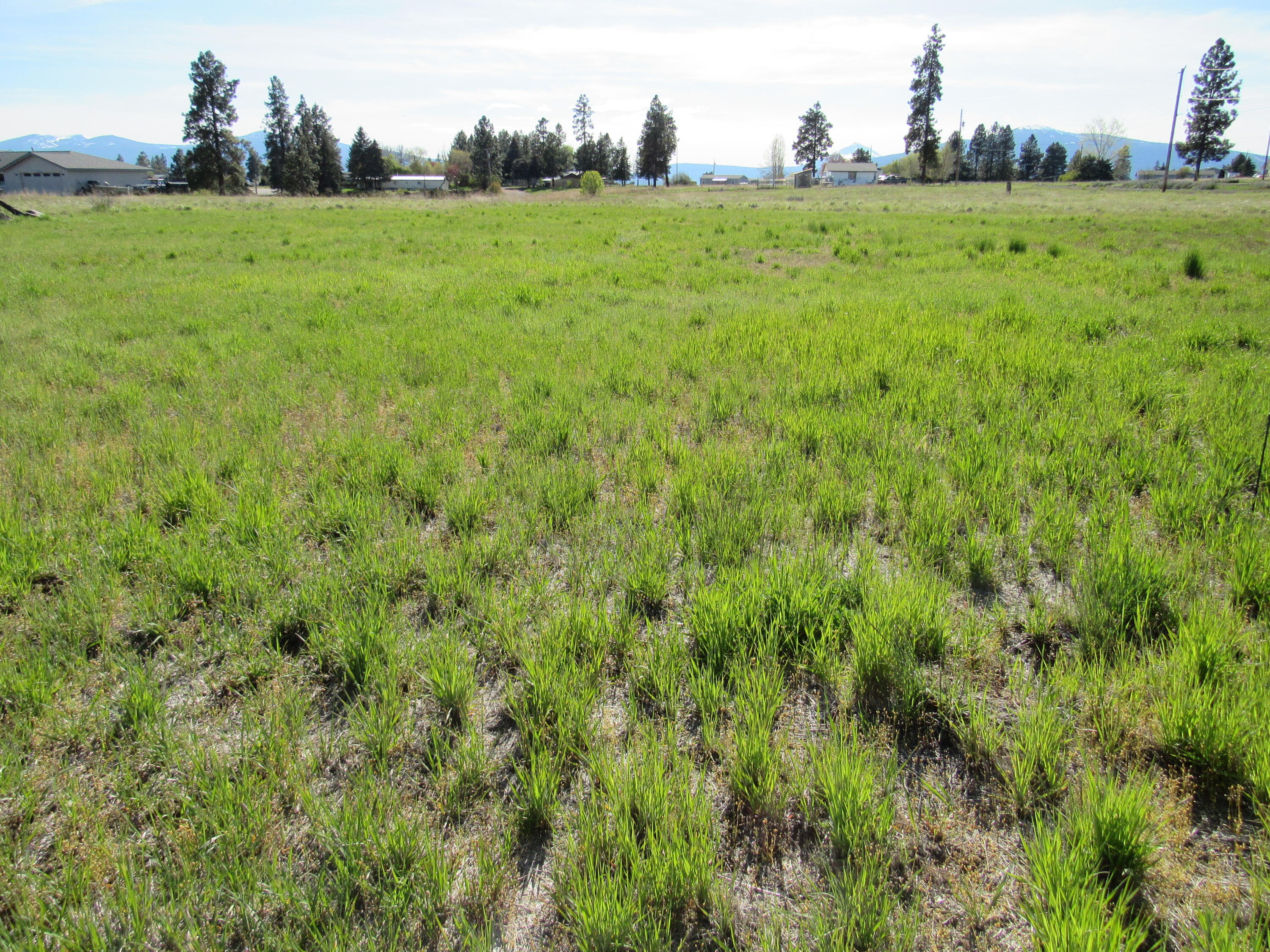 0 Amberwood Court 53