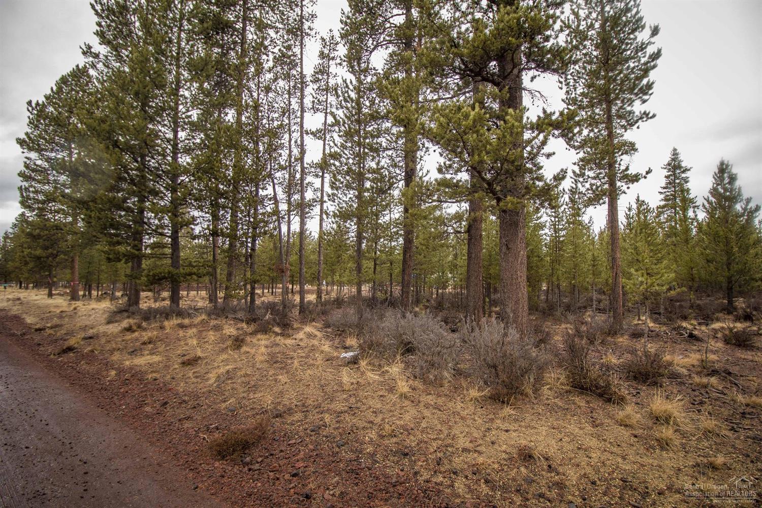 Sun Forest Estates - Land