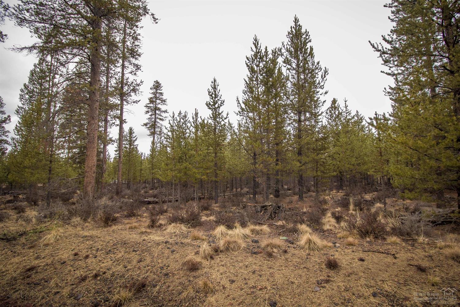 Sun Forest Estates - Land