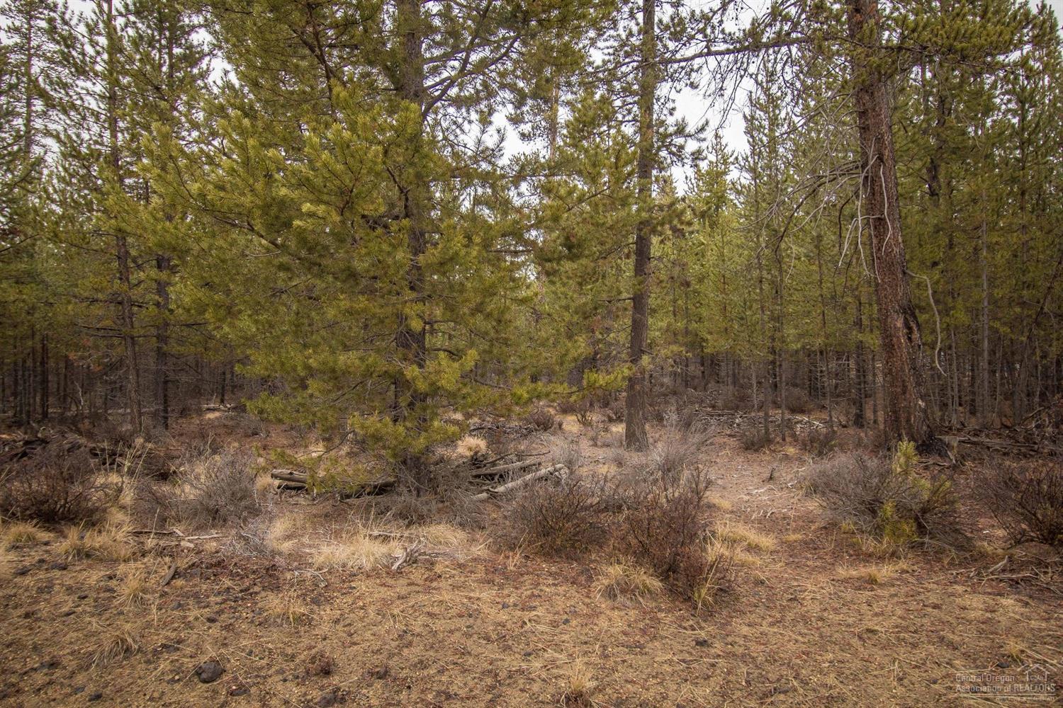 Sun Forest Estates - Land