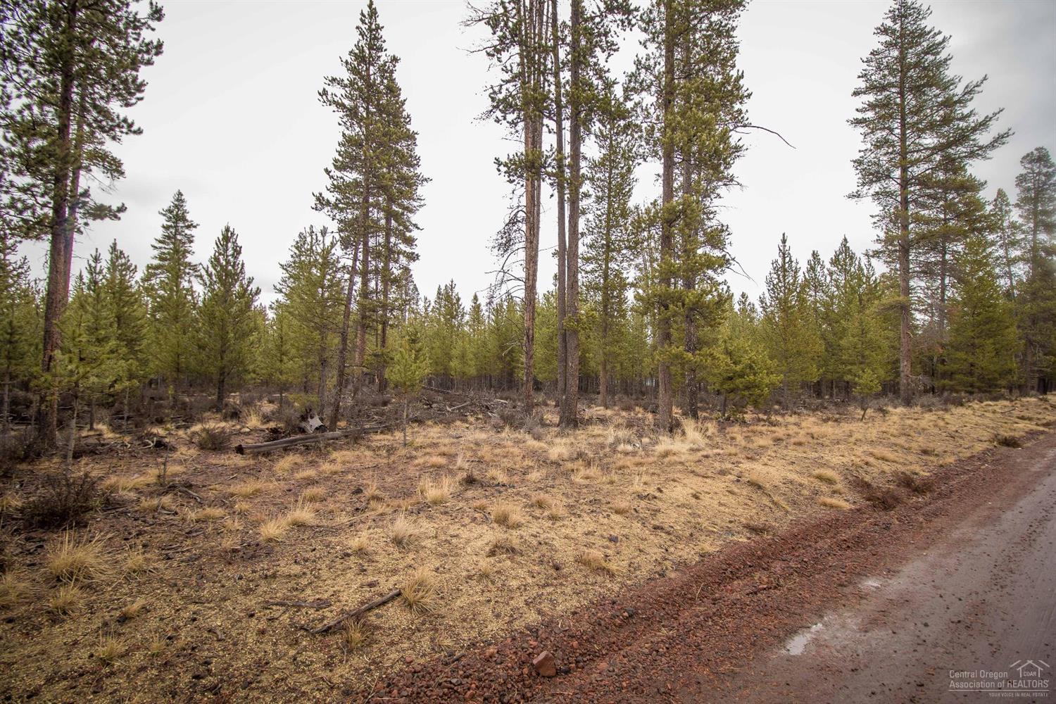 Sun Forest Estates - Land