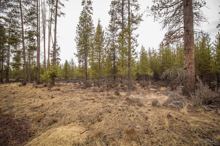 Nicely treed 1 ac lot is about 8 miles south of LaPine. It is in North Klamath county. Use this as a vacation spot or to build your dream home. Septic feasibility study needs to be done to determine which type of system would work best for you personal plans. Area of shallow wells. Call your agent to go see today!