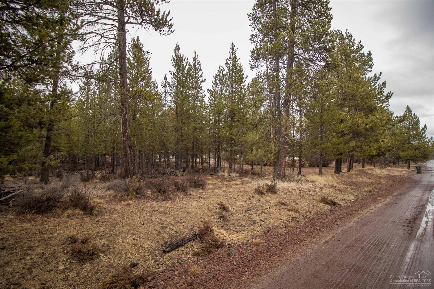 Sun Forest Estates - Land