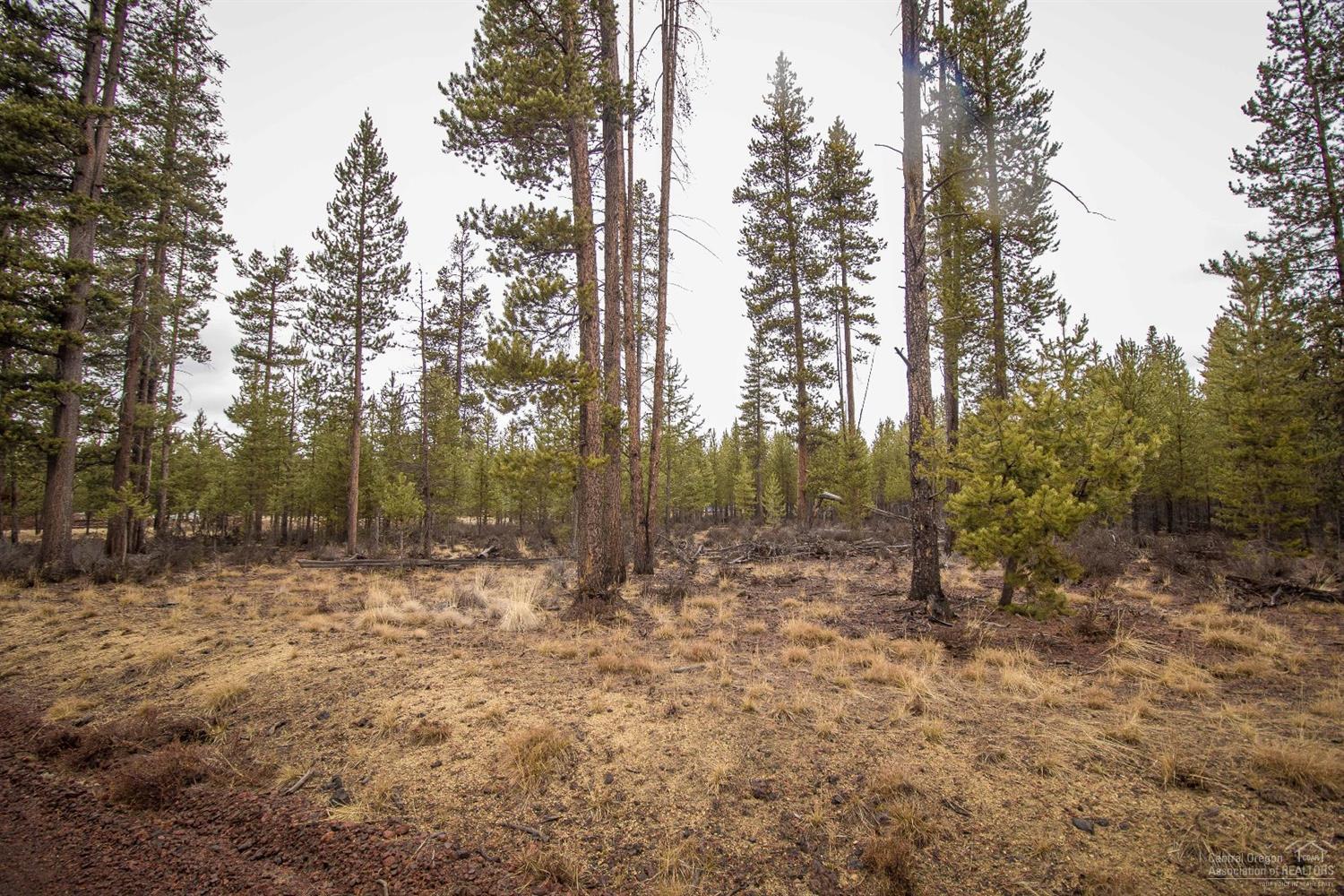 Sun Forest Estates - Land