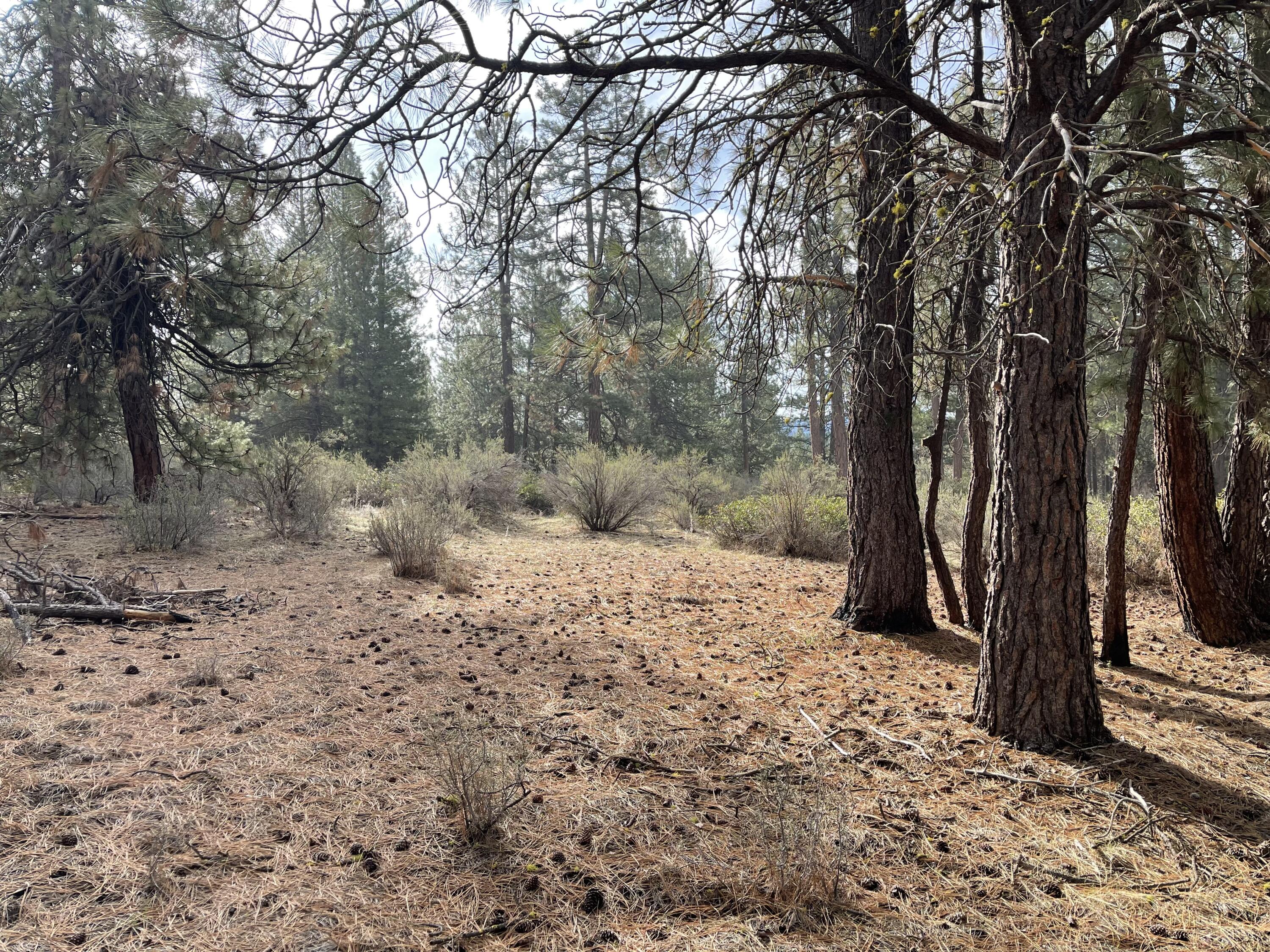 Williamson River Pines - Land