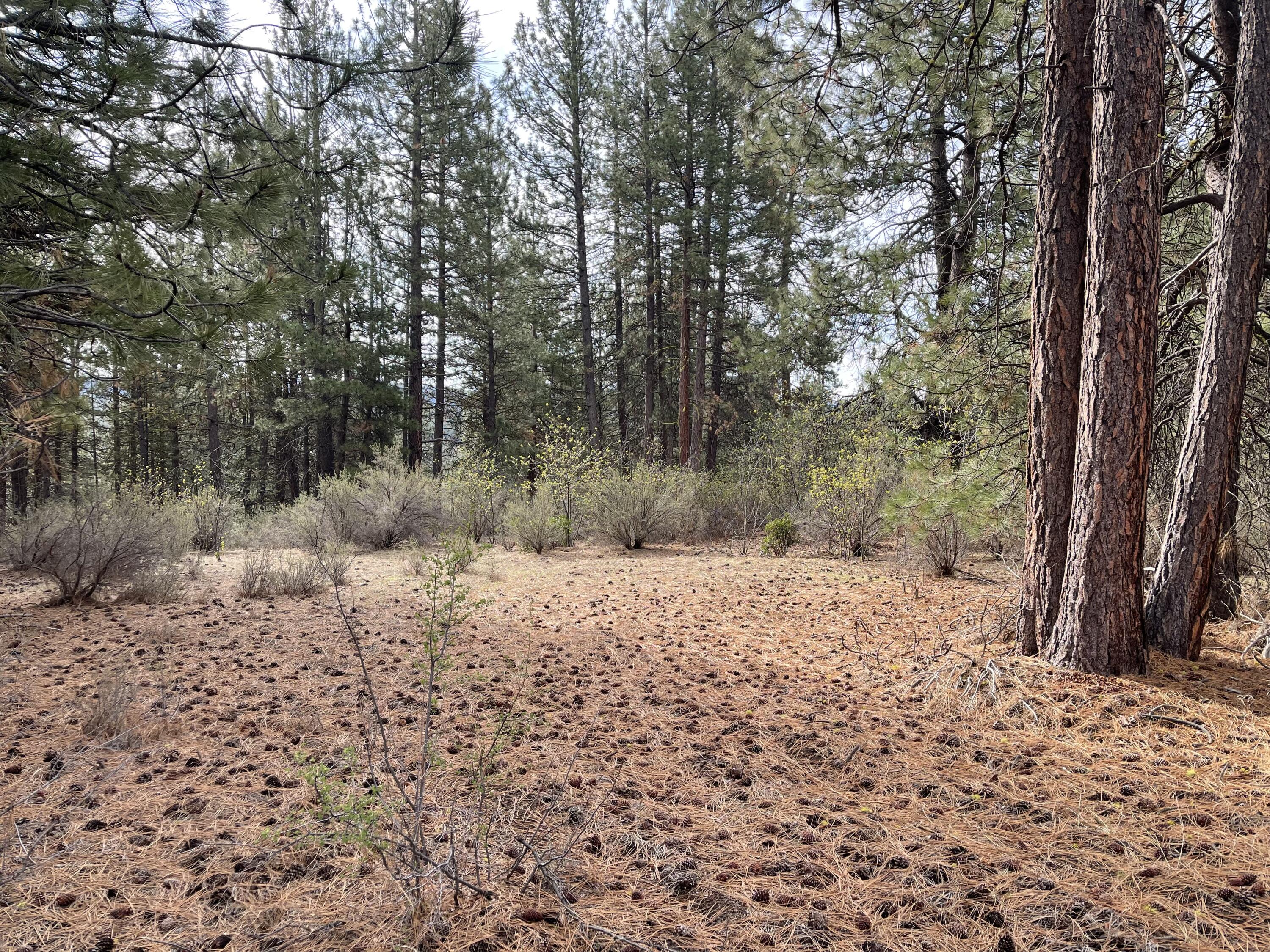 Williamson River Pines - Land