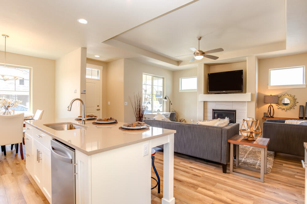 Triple Ridge - Residential