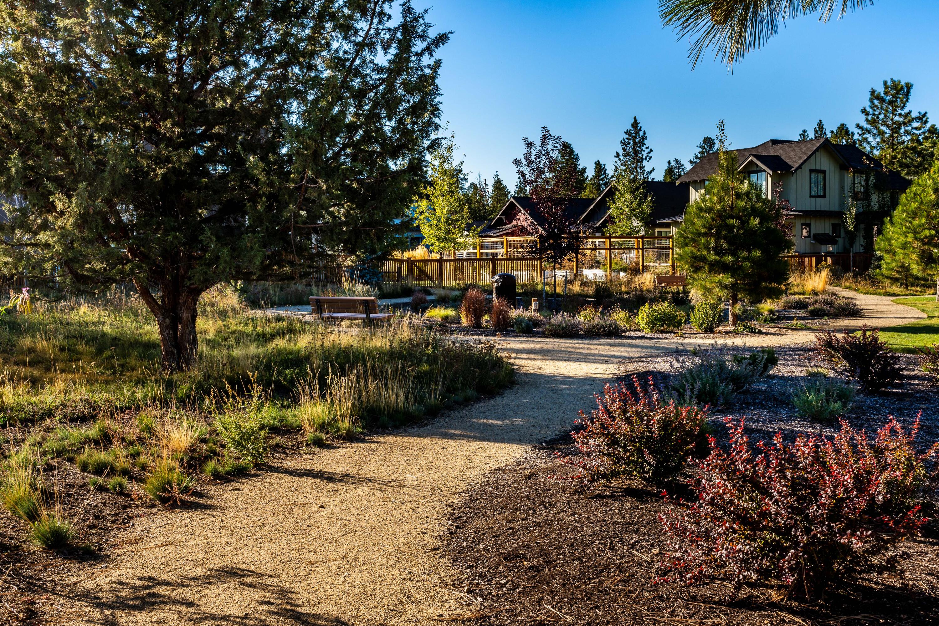 Clearpine - Residential