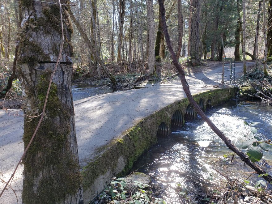 This property has a lot of  Potential. House is needs everything as it has been gutted over the years. Property has Graves Creek frontage. Property sold ''as is''. All information deemed reliable but not guarenteed. Buyer to do own due diligence on property condition and uses.