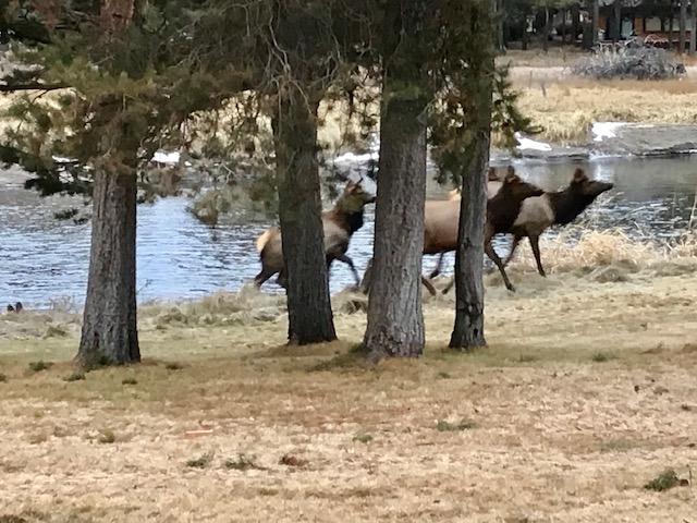 Blissful Acres - Residential