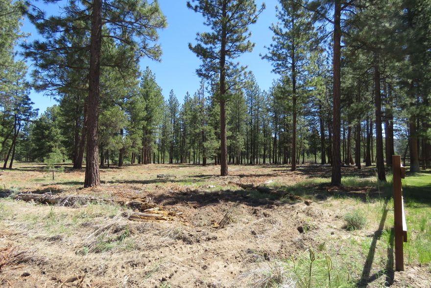This property is in Pine Meadows Village, phase 1 on 2 acres with mature Pines. Lot offers buried utilities, Power & Fiber Optics, lot is approved for standard septic. Wells in the area are 100 ft deep. Property has CC&Rs with Stick-Built homes 1800 + sq ft, Fire Dept require Smart Home Sprinkler System. Property is close to Agency lake, Williamson River & Wood River all offering trophy trout fishing