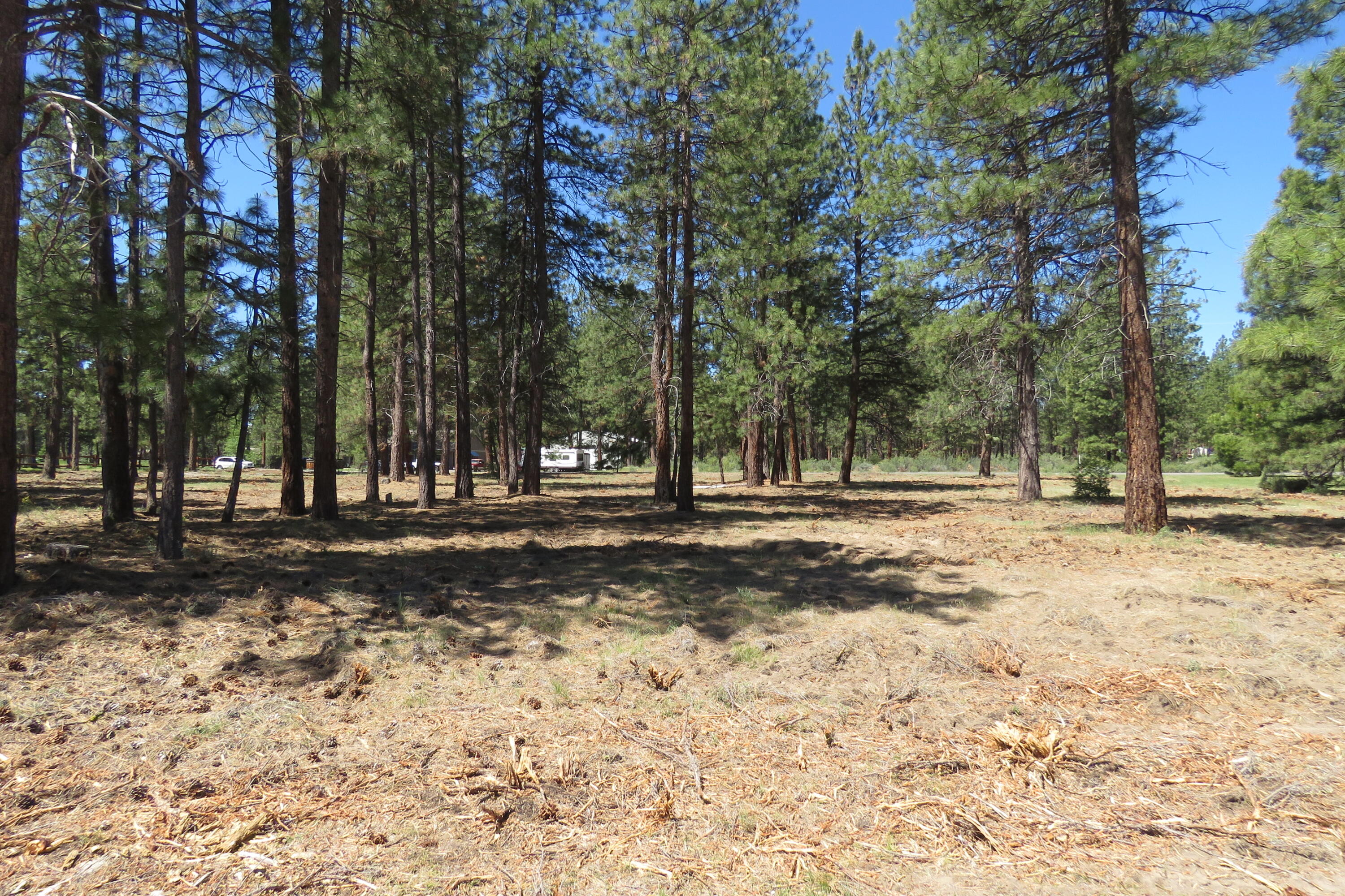 Pine Meadow Village -Phase 1 - Land